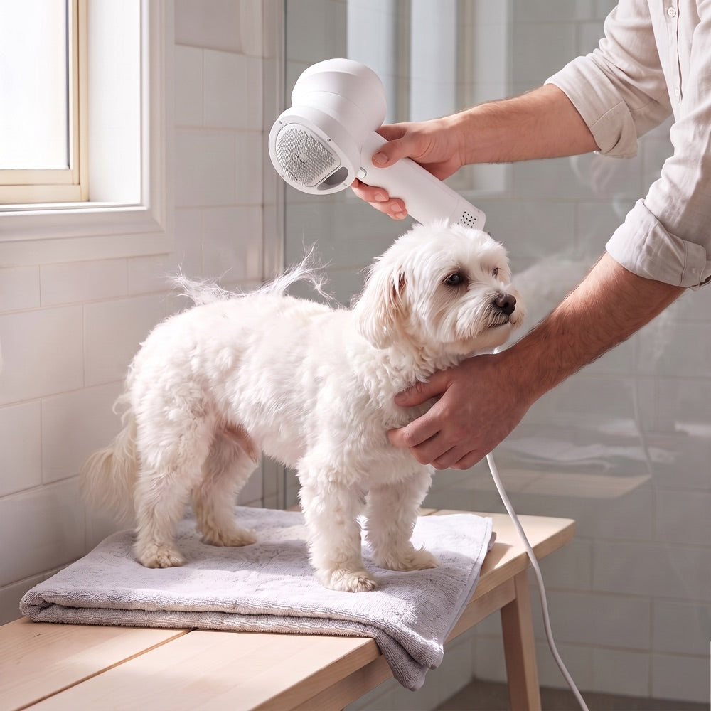 Smart Pet Hair Dryer | Low-Noise Blow Dryer & Brush for Dogs & Cats
